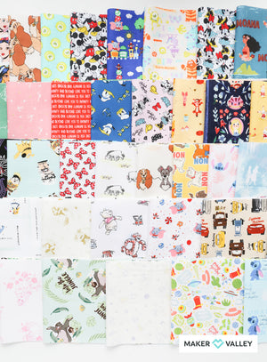 
            
                Load image into Gallery viewer, Meet Me at the Castle - 5&amp;quot; Strips Fabric Bundle
            
        
