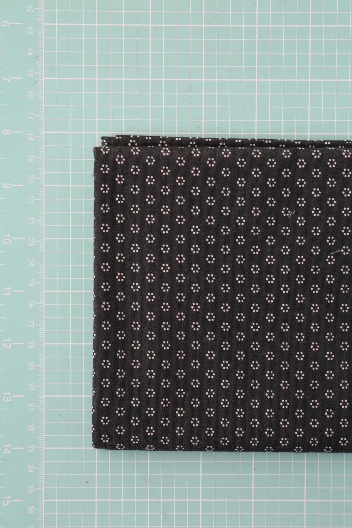 All Hallow's Eve by Joanna Figueroa (black) - 1 Yard