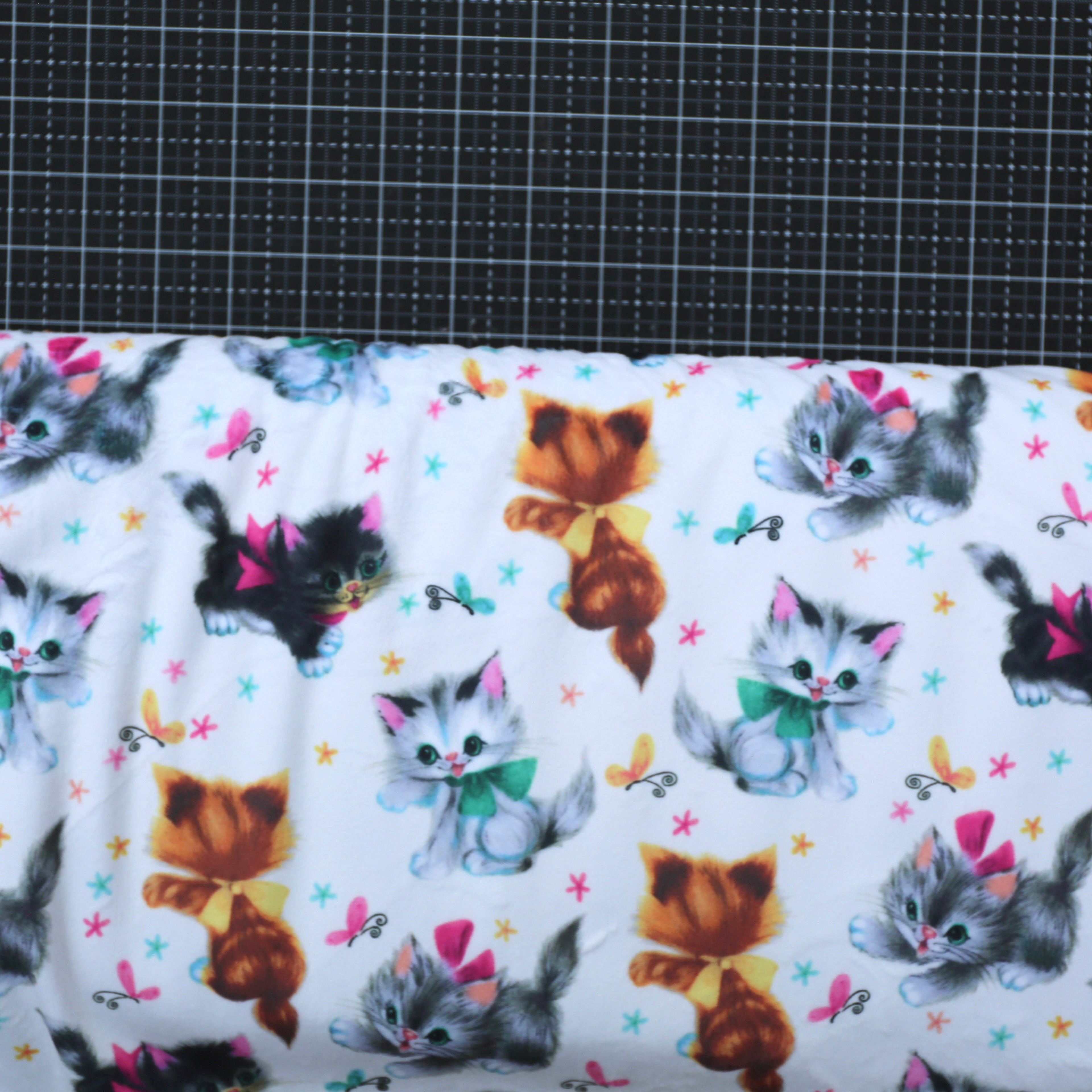 60" Wideback Minky - Kitties Making It Fun - 1 ½ Yard Cut